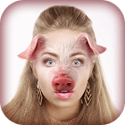 Animal Face Photo Montage app Animal Face Photo Montage app