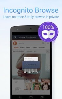 dolphin browser for windows 10